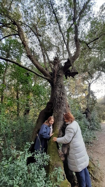 Lequinozio di primavera, insieme